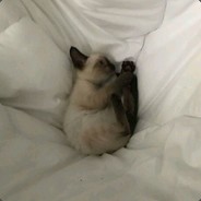 unsigned char buffer 1[10] _at_0