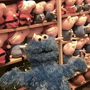 不考研（吃香菜版）