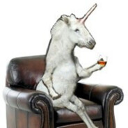 pony