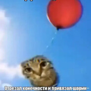 Данил Колбасенко