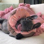 我做你的安徒生