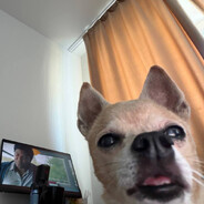 Ebator