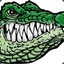 Aligator csgocrash is back