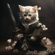 Кот