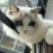 别动我的铜锣烧