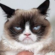 乱拳打死老司机