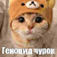 вацок