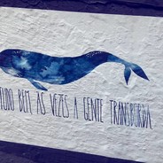 BELUGA