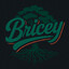 Bricey
