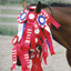 Good Job Horse