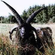 gzunk - steam id 76561199575733168