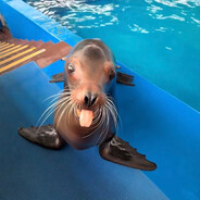 olof666 - steam id 76561199156309648