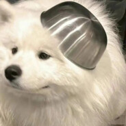 我坐好了出发吧