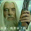 站似一棵松 卧如一条虫