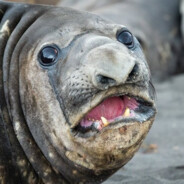 Та за что, бля?