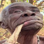 Bulwa