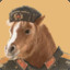 Soviet Pony