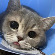 别偷小珞后场。