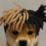 让所有的遗憾止步于此