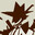 DOMO's Avatar