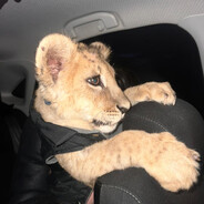 b - steam id 76561199882925262