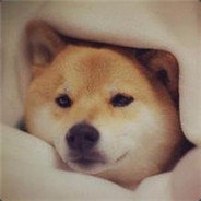 理塘的无人机终于飞回