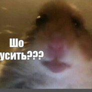 v.deruagin