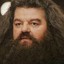 Hagrid