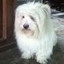 Bobby