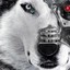 CyberWolf