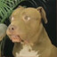 Digby