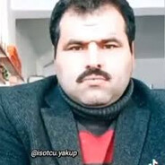 BELA SEREMIN avatar