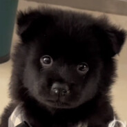 恼人狂魔正在击杀