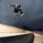 SKATEPUNK10