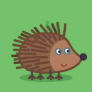 关于刺猬