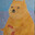 Sosig