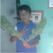 mimimuga avatar
