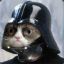 Darth Kitty™