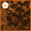 BURD3N-