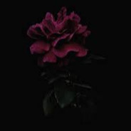 🖤𝓡𝓸𝓼𝓮🖤 - steam id 76561199075477931