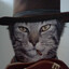 moggerparadise