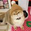 Easylove7