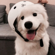 开心的学生党28