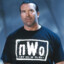 NWO&#039;s Scott Hall