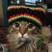 насвайные сухари