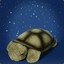 Kozmik Kaplumbağa