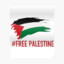 FREE PaLeStInE