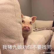 春风起时何处拦
