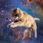 Space_CAT