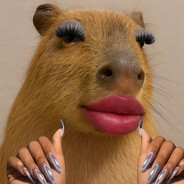 NathanTheCapybara™